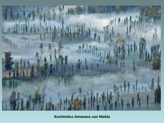 Xochimilco Amanece con Niebla
 