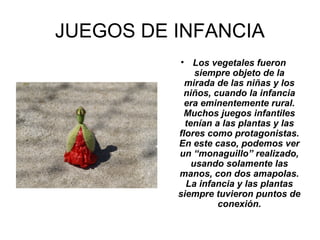 JUEGOS DE INFANCIA
• Los vegetales fueron
siempre objeto de la
mirada de las niñas y los
niños, cuando la infancia
era eminentemente rural.
Muchos juegos infantiles
tenían a las plantas y las
flores como protagonistas.
En este caso, podemos ver
un “monaguillo” realizado,
usando solamente las
manos, con dos amapolas.
La infancia y las plantas
siempre tuvieron puntos de
conexión.
 