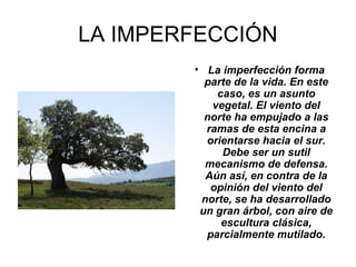 LA IMPERFECCIÓN
• La imperfección forma
parte de la vida. En este
caso, es un asunto
vegetal. El viento del
norte ha empujado a las
ramas de esta encina a
orientarse hacia el sur.
Debe ser un sutil
mecanismo de defensa.
Aún así, en contra de la
opinión del viento del
norte, se ha desarrollado
un gran árbol, con aire de
escultura clásica,
parcialmente mutilado.
 