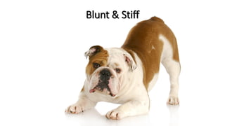 Blunt & Stiff
 