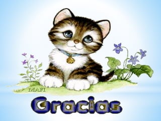 Administracion del Recurso Humano