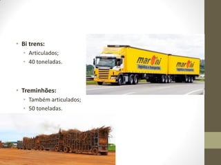 •Bi trens: 
•Articulados; 
•40 toneladas. 
•Treminhões: 
•Também articulados; 
•50 toneladas.  