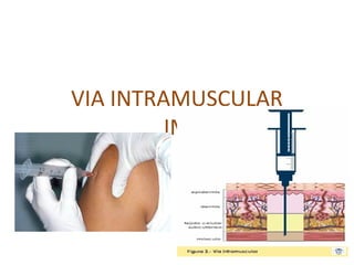 VIA INTRAMUSCULAR
IM
 