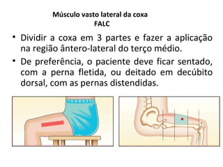 Músculo vasto lateral da coxa
FALC
• Dividir a coxa em 3 partes e fazer a aplicação
na região ântero-lateral do terço médio.
• De preferência, o paciente deve ficar sentado,
com a perna fletida, ou deitado em decúbito
dorsal, com as pernas distendidas.
 