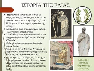 ✔ Η μυθολογία θέλει τη θεά Αθηνά να
δωρίζει στους Αθηναίους την πρώτη ελιά
του κόσμου, κατά τον αγώνα μεταξύ των
θεών για την ανάδειξη του προστάτη της
πόλης.
✔ Με κλάδους ελιάς στεφάνωναν οι αρχαίοι
Έλληνες τους ολυμπιονίκες.
✔ Με κλάδους ελιάς ήταν στεφανωμένο και
το χρυσελεφάντινο άγαλμα του Δία στην
Ολυμπία.
✔ Οι Μυκηναίοι προσέφεραν ελαιόλαδο
στους θεούς.
✔ Οι Διοσκουρίδης, Διοκλής, Αναξαγόρας,
Εμπεδοκλής μελέτησαν τις φαρμακευτικές
ιδιότητες του ιερού αυτού δέντρου.
✔ Ο Ιπποκράτης, ο πατέρας της Ιατρικής, το
περιγράφει σαν το τέλειο θεραπευτικό και
στον Ιπποκράτειο κώδικα αναφέρονται
πάνω από 60 θεραπείες οφειλόμενες στην
ελιά.
ΙΣΤΟΡΙΑ ΤΗΣ ΕΛΙΑΣ
Ελαιόλαδο:
Μεγάλος
Θεραπευτής
Ιπποκράτης
 