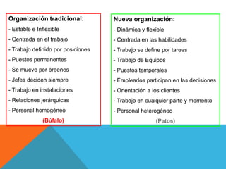 Organización tradicional:
- Estable e Inflexible
- Centrada en el trabajo
- Trabajo definido por posiciones
- Puestos permanentes
- Se mueve por órdenes
- Jefes deciden siempre
- Trabajo en instalaciones
- Relaciones jerárquicas
- Personal homogéneo
(Búfalo)
Nueva organización:
- Dinámica y flexible
- Centrada en las habilidades
- Trabajo se define por tareas
- Trabajo de Equipos
- Puestos temporales
- Empleados participan en las decisiones
- Orientación a los clientes
- Trabajo en cualquier parte y momento
- Personal heterogéneo
(Patos)
 
