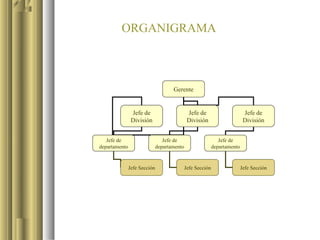 ORGANIGRAMA



                                     Gerente


                Jefe de                       Jefe de                       Jefe de
                División                      División                      División


   Jefe de                       Jefe de                       Jefe de
departamento                  departamento                  departamento


               Jefe Sección                  Jefe Sección                  Jefe Sección
 
