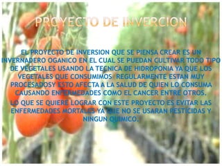 EL PROYECTO DE INVERSION QUE SE PIENSA CREAR ES UN
INVERNADERO OGANICO EN EL CUAL SE PUEDAN CULTIVAR TODO TIPO
   DE VEGETALES USANDO LA TECNICA DE HIDROPONIA YA QUE LOS
     VEGETALES QUE CONSUMIMOS REGULARMENTE ESTAN MUY
   PROCESADOSY ESTO AFECTA A LA SALUD DE QUIEN LO CONSUMA
    CAUSANDO ENFERMEDADES COMO EL CANCER ENTRE OTROS.
   LO QUE SE QUIERE LOGRAR CON ESTE PROYECTO ES EVITAR LAS
   ENFERMEDADES MORTALES YA QUE NO SE USARAN PESTICIDAS Y
                       NINGUN QUIMICO.
 