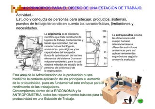 4.2 PRINCIPIOS PARA EL DISEÑO DE UNA ESTACION DE TRABAJO.
  Actividad.-
  Estudio y conducta de personas para adecuar, productos, sistemas,
  puestos de trabajo teniendo en cuenta las características, limitaciones y
  necesidades.
                     La ergonomía es la disciplina              La antropometría estudia
                     científica que trata del diseño de         las dimensiones del
                     lugares de trabajo, herramientas y         cuerpo humano
                     tareas que coinciden con las               referenciandose a
                     características fisiológicas,              diferentes estructuras
                     anatómicas, psicológicas y las             anatómicas para así
                     capacidades del trabajador.                aplicar herramientas
                     Busca la optimización de los tres          ergonómicas según la
                     elementos del sistema (humano-             anatomía analizada.
                     máquina-ambiente), para lo cual
                     elabora métodos de estudio de la
                     persona, de la técnica y de
                     la organización.
Esta área de la Administración de la producción busca
mediante la correcta aplicación de los principios el aumento
de la productividad, pues es fundamental este enfoque para el
rendimiento de los trabajadores.
Contemplamos dentro de la ERGONOMIA y la
ANTROPOMETRIA, todos los requerimientos básicos para la
productividad en una Estación de Trabajo.
 