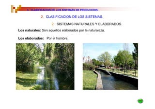 3. CLASIFICACION DE LOS SISTEMAS DE PRODUCCION.

              2. CLASIFICACION DE LOS SISTEMAS.

                      2. SISTEMAS NATURALES Y ELABORADOS.
Los naturales: Son aquellos elaborados por la naturaleza.

Los elaborados: Por el hombre.
 