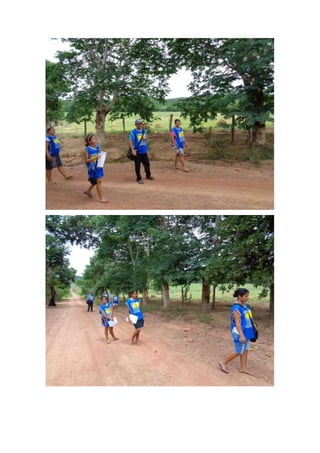 Relatório - ADM Taboco MS