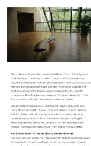 Etiam aliquam. Suspendisse porta facilisis libero. Fusce dictum ligula ac
nibh. Vestibulum ante ipsum primis in faucibus orci luctus et ultrices
posuere cubilia Curae; Praesent elit. Class aptent taciti sociosqu ad litora
torquent per conubia nostra, per inceptos hymenaeos. Class aptent
taciti sociosqu ad litora torquent per conubia nostra, per inceptos
hymenaeos. Nam fringilla dolor eu mauris. Quisque vel eros. Sed mattis.
Fusce auctor mattis nulla. Vivamus accumsan leo eu leo.

Donec interdum facilisis tortor. Vivamus nibh ipsum, accumsan quis,
consectetuer at, sagittis et, purus. Praesent id diam eu odio dapibus
sodales. Sed ac nulla sit amet ligula faucibus accumsan. Aenean
consectetuer luctus nunc. Nunc in enim vel mi nonummy fringilla.
Maecenas gravida orci eu leo. Aenean ut nisl nec arcu nonummy
tristique. Etiam pulvinar laoreet nulla. Nam dictum velit quis tortor.

Vestibulum tortor. In hac habitasse platea dictumst.
Aenean vulputate fringilla risus. Aliquam erat volutpat. Praesent pulvinar
tincidunt odio. Etiam sit amet turpis et eros porttitor sodales. Praesent
 