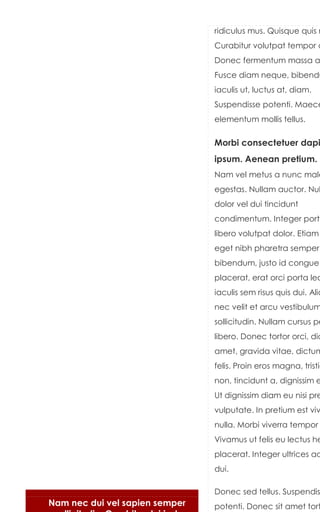 ridiculus mus. Quisque quis m
                                Curabitur volutpat tempor q
                                Donec fermentum massa a
                                Fusce diam neque, bibendu
                                iaculis ut, luctus at, diam.
                                Suspendisse potenti. Maece
                                elementum mollis tellus.

                                Morbi consectetuer dapi
                                ipsum. Aenean pretium.
                                Nam vel metus a nunc male
                                egestas. Nullam auctor. Nul
                                dolor vel dui tincidunt
                                condimentum. Integer portt
                                libero volutpat dolor. Etiam
                                eget nibh pharetra semper.
                                bibendum, justo id congue
                                placerat, erat orci porta leo
                                iaculis sem risus quis dui. Aliq
                                nec velit et arcu vestibulum
                                sollicitudin. Nullam cursus pe
                                libero. Donec tortor orci, dic
                                amet, gravida vitae, dictum
                                felis. Proin eros magna, tristiq
                                non, tincidunt a, dignissim e
                                Ut dignissim diam eu nisi pre
                                vulputate. In pretium est viv
                                nulla. Morbi viverra tempor
                                Vivamus ut felis eu lectus he
                                placerat. Integer ultrices ad
                                dui.

                                Donec sed tellus. Suspendis
Nam nec dui vel sapien semper   potenti. Donec sit amet tort
 