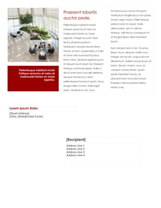 tincidunt purus rutrum tincidunt.
                                        Praesent lobortis
                                                                                  Vestibulum fringilla lacus non pede.
                                        auctor pede.                              Donec eget massa. Pellentesque

                                        Pellentesque habitant morbi               pretium erat at mauris. Nulla

                                        tristique senectus et netus et            ullamcorper, sem in ultrices

                                        malesuada fames ac turpis                 tristique, velit lectus consequat mi,

                                        egestas. Integer eu justo vitae           et feugiat libero diam hendrerit

                                        lectus pharetra pretium.                  ipsum.

                                        Vestibulum semper lacinia diam.
                                                                                  Sed volutpat erat ut est. Vivamus
                                        Donec at sem. Suspendisse ut nulla
                                                                                  libero. Nunc aliquam mollis nunc.
                                        sit amet nibh euismod faucibus.
                                                                                  Integer vel nisi nec augue dictum
                                        Nam varius. Quisque egestas purus.
                                                                                  elementum. Nullam iaculis ipsum at
                                        Ut aliquet nisi sit amet nisl. Praesent
                                                                                  lorem. Donec viverra, nunc ac
                                        tristique commodo ligula. Nulla a
       Pellentesque habitant morbi                                                volutpat consectetuer, quam
       tristique senectus et netus et   elit sit amet eros convallis eleifend.
                                                                                  pede imperdiet mauris, ac
        malesuada fames ac turpis       Aenean fermentum. Nam
                                                                                  placerat enim urna sed mauris.
                            egestas.
                                        pellentesque tincidunt quam. Nunc
                                                                                  Praesent ultrices pretium libero.
                                        feugiat tellus at eros. Nulla eget
                                                                                  Morbi a nisi.
                                        dolor. Vestibulum nec nunc




Lorem Ipsum Dolor
[Street Address]
[City], [State][Postal Code]




                                          [Recipient]
                                          Address Line 1
                                          Address Line 2
                                          Address Line 3
                                          Address Line 4
 