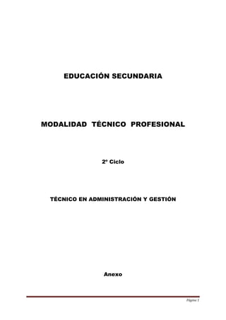 Página 1 
EDUCACIÓN SECUNDARIA 
MODALIDAD TÉCNICO PROFESIONAL 
2º Ciclo 
TÉCNICO EN ADMINISTRACIÓN Y GESTIÓN 
Anexo  