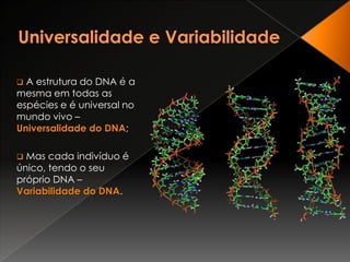 Universalidade e Variabilidade  A estrutura do DNA é a mesma em todas as espécies e é universal no mundo vivo – Universalidade do DNA;