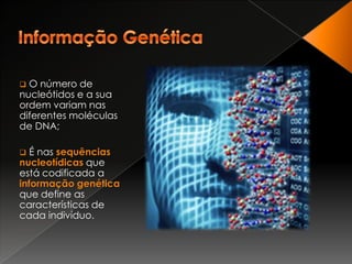  Mas cada indivíduo é único, tendo o seu próprio DNA – Variabilidade do DNA.Informação Genética O número de nucleótidos e a sua ordem variam nas diferentes moléculas  de DNA;