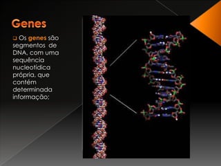  É nas sequências nucleotídicas que  está codificada a informação genética que define as características de cada indivíduo. Genes  Os genes são segmentos  de DNA, com uma sequência nucleotídica própria, que contém determinada informação;Genoma O conjunto de genes que constitui a informação genética de um indivíduo tem o nome de genoma.Genoma