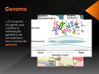 RNAO ácido ribonucleico (RNA) tem algumas diferenças:cadeia geralmente simples em vez de dupla;