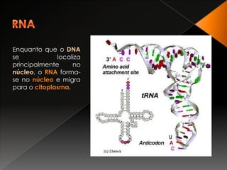 DNA