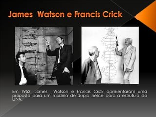 James  Watson e Francis CrickEm 1953, James  Watson e Francis Crick apresentaram uma proposta para um modelo de dupla hélice para a estrutura do DNA.