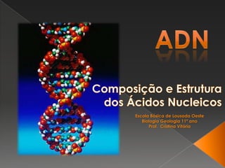 ADN Composição e Estrutura dos Ácidos Nucleicos Escola Básica de Lousada Oeste Biologia Geologia 11º ano Prof. Cristina Vitória 