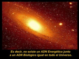 Es decir, no existe un ADN Energético junto  a un ADN Biológico igual en todo el Universo.   
