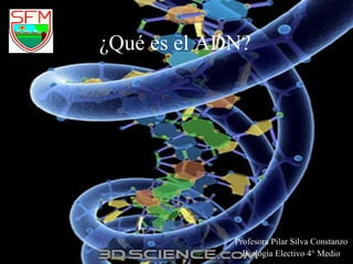 ¿Qué es el ADN? Profesora Pilar Silva Constanzo Biología Electivo 4° Medio 