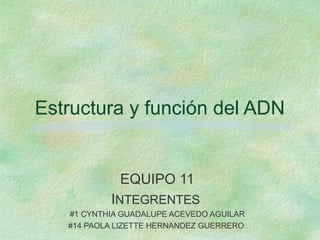 Estructura y función del ADN
EQUIPO 11
INTEGRENTES
#1 CYNTHIA GUADALUPE ACEVEDO AGUILAR
#14 PAOLA LIZETTE HERNANDEZ GUERRERO
 