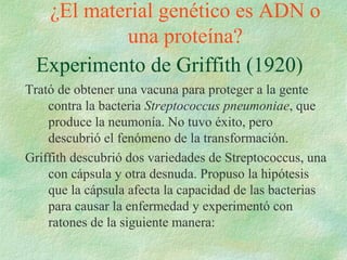 ¿El material genético es ADN o
una proteína?
Experimento de Griffith (1920)
Trató de obtener una vacuna para proteger a la gente
contra la bacteria Streptococcus pneumoniae, que
produce la neumonía. No tuvo éxito, pero
descubrió el fenómeno de la transformación.
Griffith descubrió dos variedades de Streptococcus, una
con cápsula y otra desnuda. Propuso la hipótesis
que la cápsula afecta la capacidad de las bacterias
para causar la enfermedad y experimentó con
ratones de la siguiente manera:
 