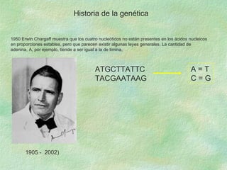Historia de la genética 1950 Erwin Chargaff muestra que los cuatro nucleótidos no están presentes en los ácidos nucleicos en proporciones estables, pero que parecen existir algunas leyes generales. La cantidad de adenina, A, por ejemplo, tiende a ser igual a la de timina,  1905 -  2002)  ATGCTTATTC TACGAATAAG A = T C = G 