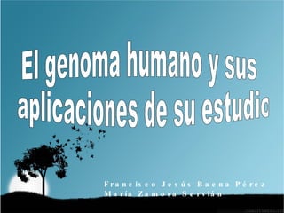 Francisco Jesús Baena Pérez María Zamora Servián El genoma humano y sus aplicaciones de su estudio 