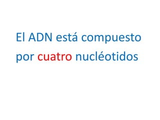   El ADN está compuesto   por cuatro nucléotidos