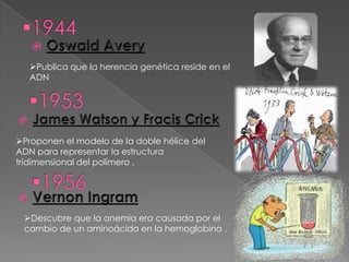 Publica que la herencia genética reside en el
   ADN




Proponen el modelo de la doble hélice del
ADN para representar la estructura
tridimensional del polímero .




 Descubre que la anemia era causada por el
 cambio de un aminoácido en la hemoglobina .
 