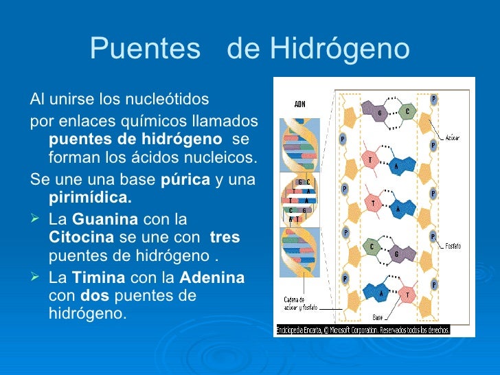 Adn
