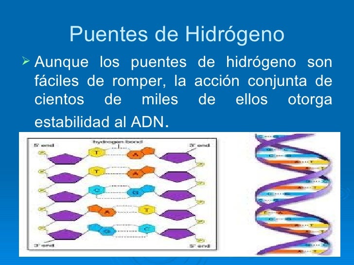 Adn