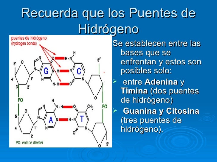 Adn