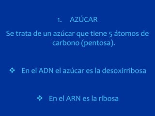 1.   AZÚCAR
Se trata de un azúcar que tiene 5 átomos de
               carbono (pentosa).


 En el ADN el azúcar es la desoxirribosa


          En el ARN es la ribosa
 