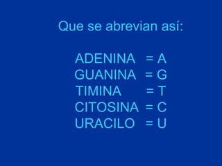 Que se abrevian así:

  ADENINA    =A
  GUANINA    =G
  TIMINA     =T
  CITOSINA   =C
  URACILO    =U
 