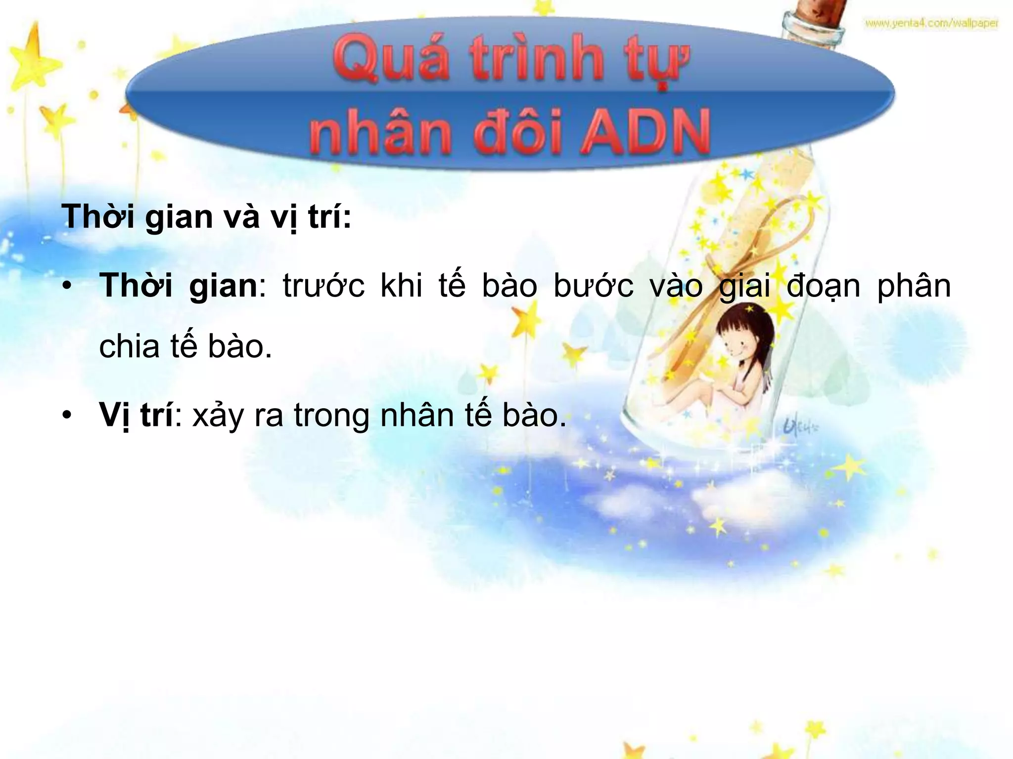 Thời gian và vị trí:

• Thời gian: trước khi tế bào bước vào giai đoạn phân
  chia tế bào.

• Vị trí: xảy ra trong nhân tế bào.
 