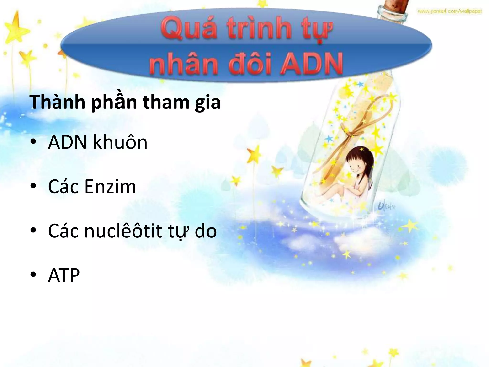 Thành phần tham gia
• ADN khuôn

• Các Enzim

• Các nuclêôtit tự do

• ATP
 
