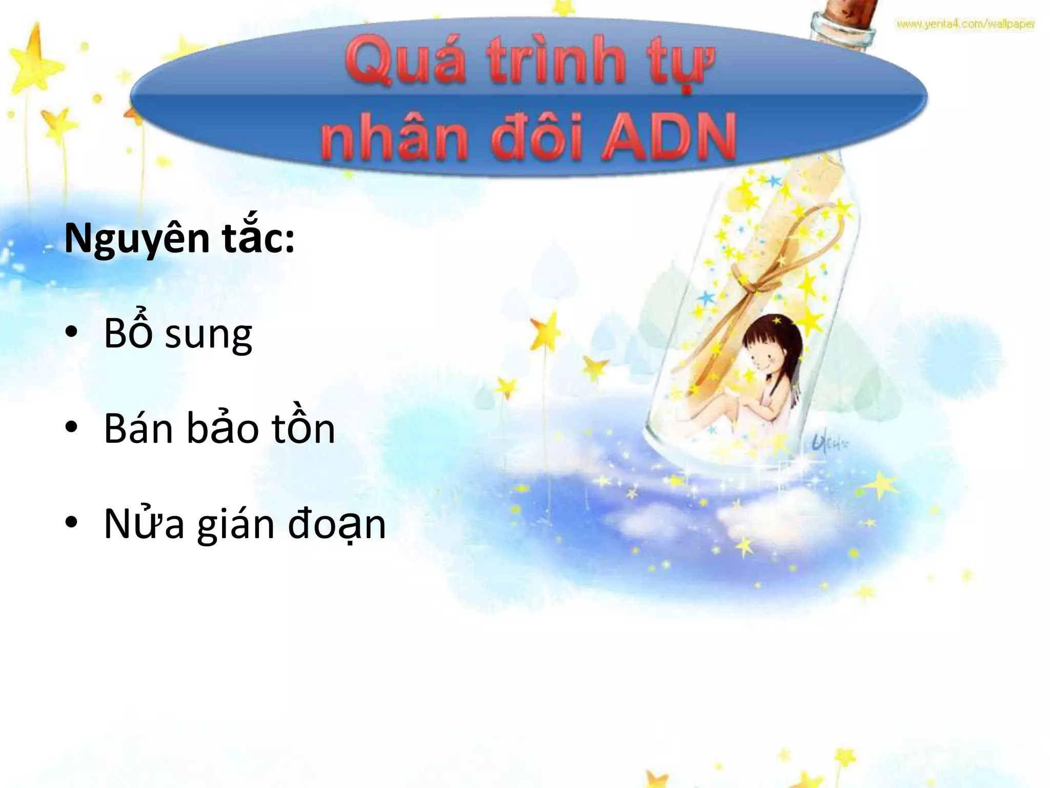 Nguyên tắc:

• Bổ sung

• Bán bảo tồn

• Nửa gián đoạn
 