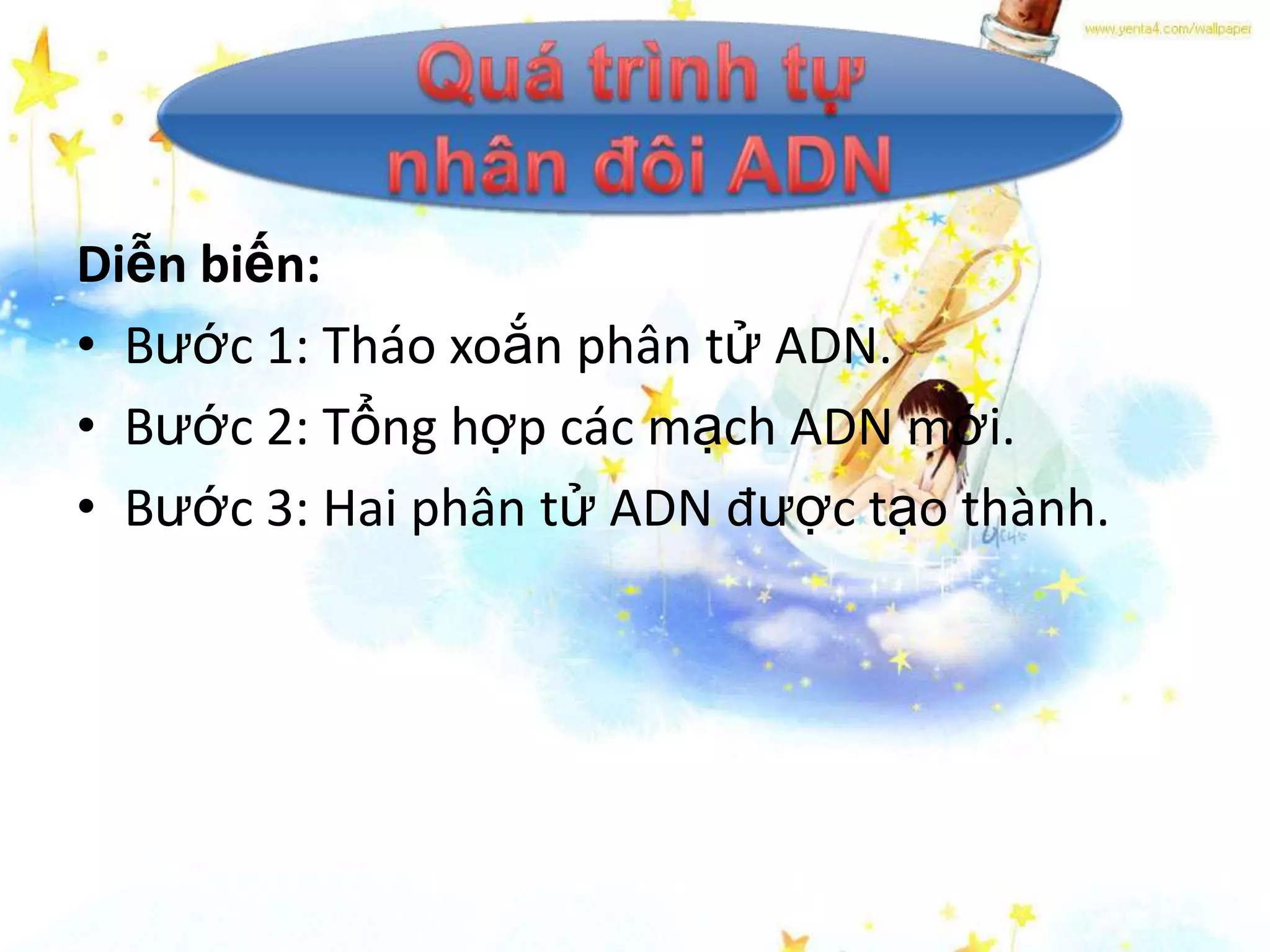 Diễn biến:
• Bước 1: Tháo xoắn phân tử ADN.
• Bước 2: Tổng hợp các mạch ADN mới.
• Bước 3: Hai phân tử ADN được tạo thành.
 