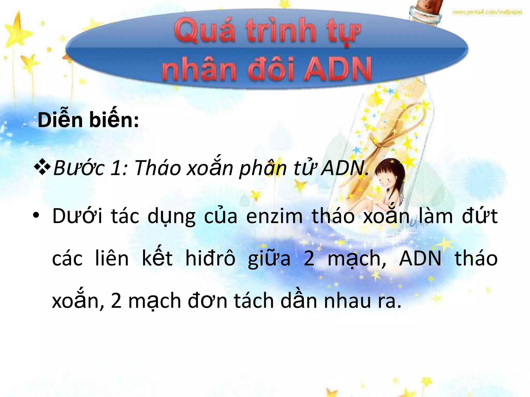 Diễn biến:

Bước 1: Tháo xoắn phân tử ADN.

• Dưới tác dụng của enzim tháo xoắn làm đứt
 các liên kết hiđrô giữa 2 mạch, ADN tháo
 xoắn, 2 mạch đơn tách dần nhau ra.
 