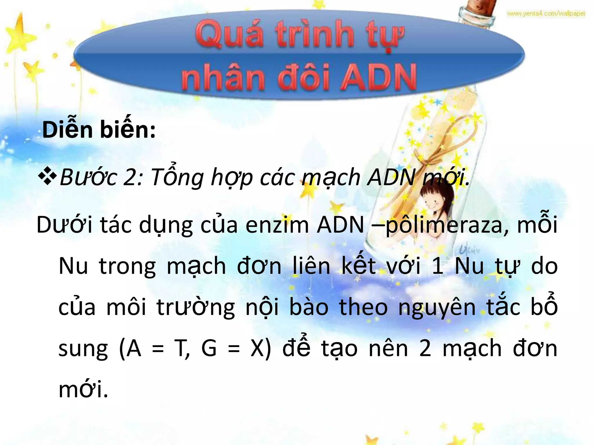 Diễn biến:
Bước 2: Tổng hợp các mạch ADN mới.
Dưới tác dụng của enzim ADN –pôlimeraza, mỗi
 Nu trong mạch đơn liên kết với 1 Nu tự do
 của môi trường nội bào theo nguyên tắc bổ
 sung (A = T, G = X) để tạo nên 2 mạch đơn
 mới.
 