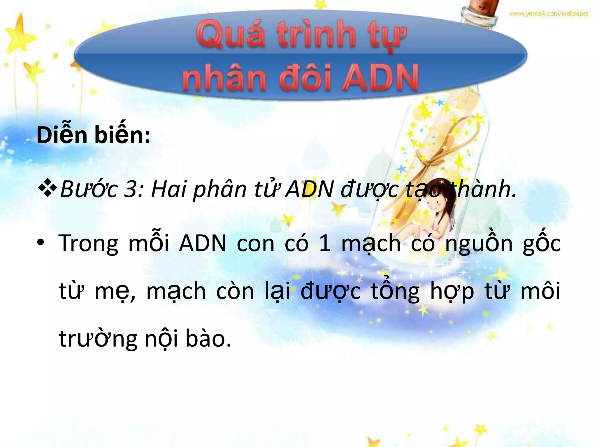 Diễn biến:

Bước 3: Hai phân tử ADN được tạo thành.

• Trong mỗi ADN con có 1 mạch có nguồn gốc
 từ mẹ, mạch còn lại được tổng hợp từ môi
 trường nội bào.
 