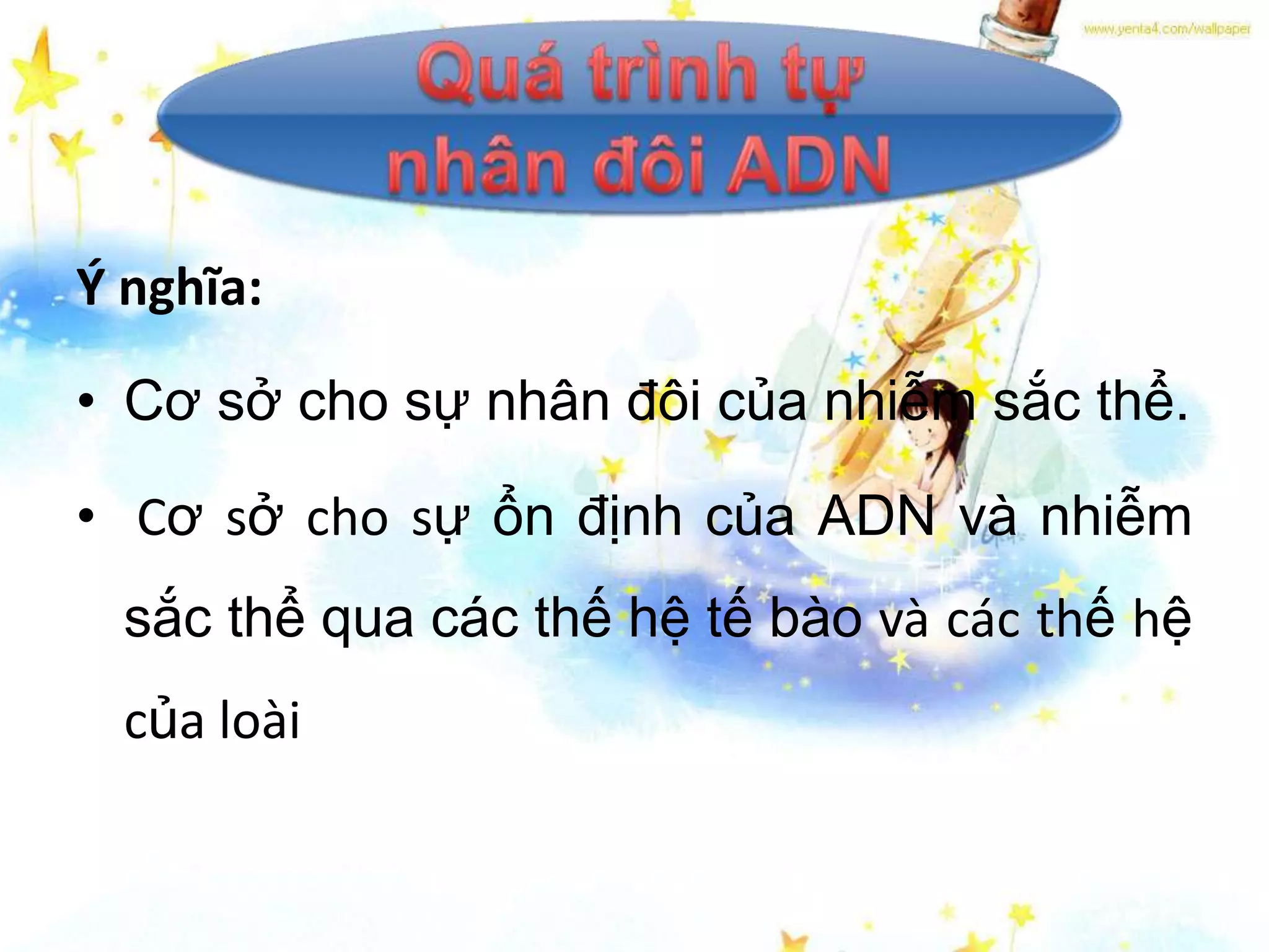 Ý nghĩa:

• Cơ sở cho sự nhân đôi của nhiễm sắc thể.

• Cơ sở cho sự ổn định của ADN và nhiễm
  sắc thể qua các thế hệ tế bào và các thế hệ
  của loài
 