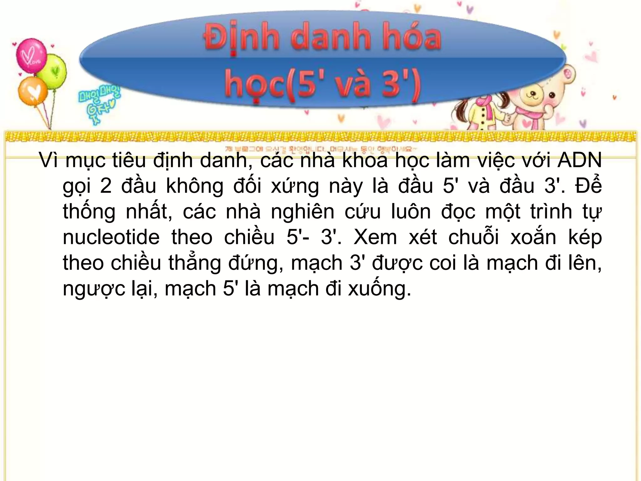 Vì mục tiêu định danh, các nhà khoa học làm việc với ADN
   gọi 2 đầu không đối xứng này là đầu 5' và đầu 3'. Để
   thống nhất, các nhà nghiên cứu luôn đọc một trình tự
   nucleotide theo chiều 5'- 3'. Xem xét chuỗi xoắn kép
   theo chiều thẳng đứng, mạch 3' được coi là mạch đi lên,
   ngược lại, mạch 5' là mạch đi xuống.
 