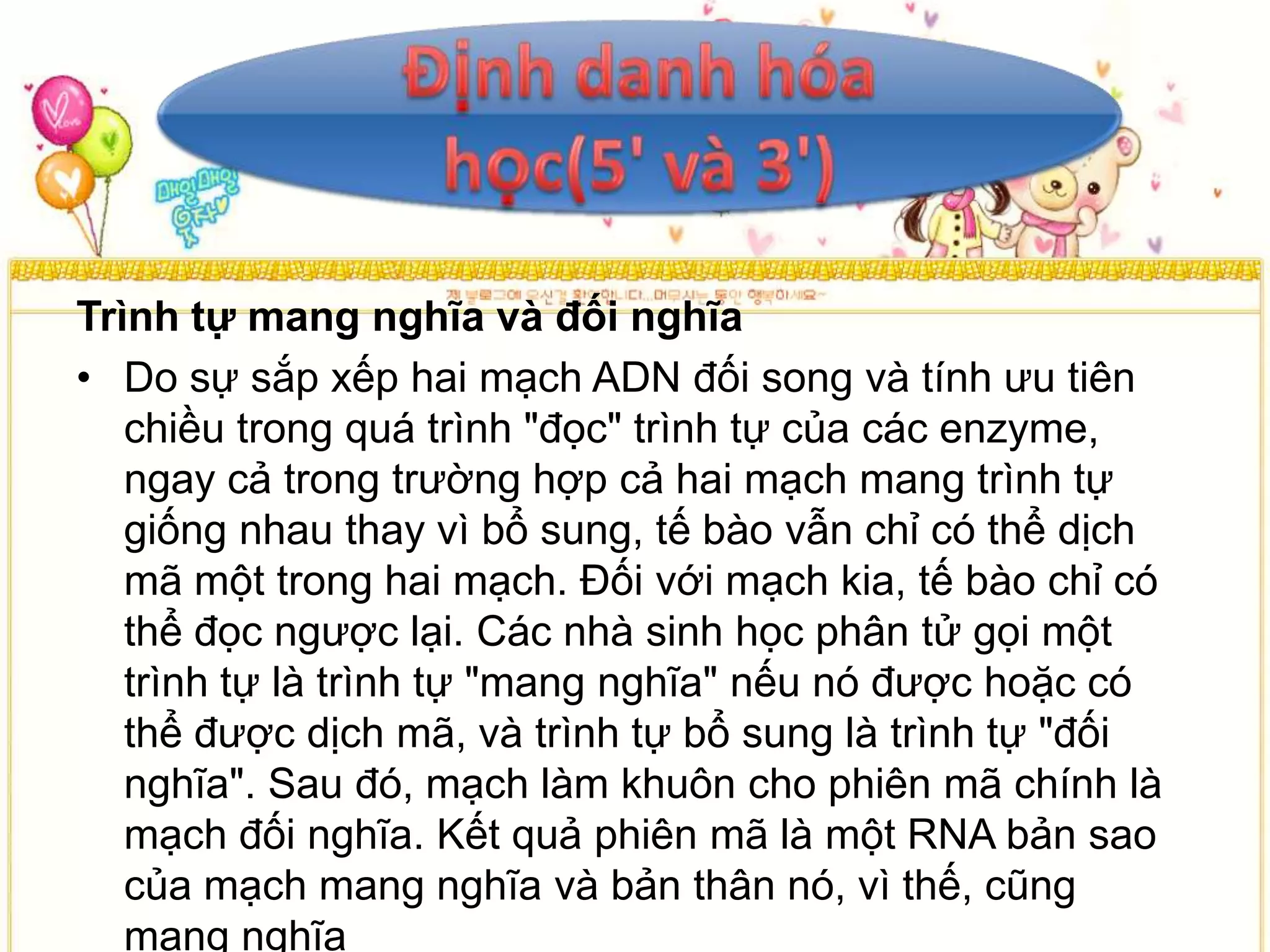 Trình tự mang nghĩa và đối nghĩa
• Do sự sắp xếp hai mạch ADN đối song và tính ưu tiên
   chiều trong quá trình "đọc" trình tự của các enzyme,
   ngay cả trong trường hợp cả hai mạch mang trình tự
   giống nhau thay vì bổ sung, tế bào vẫn chỉ có thể dịch
   mã một trong hai mạch. Đối với mạch kia, tế bào chỉ có
   thể đọc ngược lại. Các nhà sinh học phân tử gọi một
   trình tự là trình tự "mang nghĩa" nếu nó được hoặc có
   thể được dịch mã, và trình tự bổ sung là trình tự "đối
   nghĩa". Sau đó, mạch làm khuôn cho phiên mã chính là
   mạch đối nghĩa. Kết quả phiên mã là một RNA bản sao
   của mạch mang nghĩa và bản thân nó, vì thế, cũng
   mang nghĩa
 