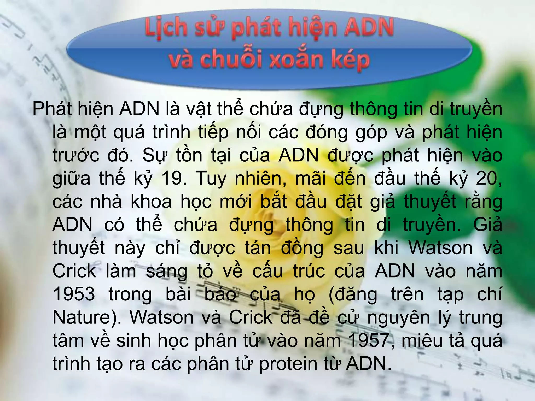 Phát hiện ADN là vật thể chứa đựng thông tin di truyền
  là một quá trình tiếp nối các đóng góp và phát hiện
  trước đó. Sự tồn tại của ADN được phát hiện vào
  giữa thế kỷ 19. Tuy nhiên, mãi đến đầu thế kỷ 20,
  các nhà khoa học mới bắt đầu đặt giả thuyết rằng
  ADN có thể chứa đựng thông tin di truyền. Giả
  thuyết này chỉ được tán đồng sau khi Watson và
  Crick làm sáng tỏ về cấu trúc của ADN vào năm
  1953 trong bài báo của họ (đăng trên tạp chí
  Nature). Watson và Crick đã đề cử nguyên lý trung
  tâm về sinh học phân tử vào năm 1957, miêu tả quá
  trình tạo ra các phân tử protein từ ADN.
 